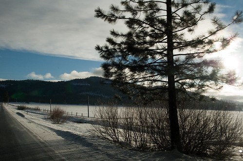 Sunrise by Nat W, The sun rises over a field as we drive to Renocabin almanor