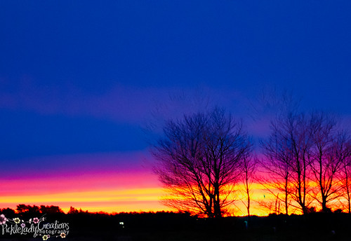 November Sunset-4107 by Salt&LightPhotography, <a href="http://twitter.com/PickleLadyPhoto" rel="nofollow">Follow me</a> on twitternovember trees s