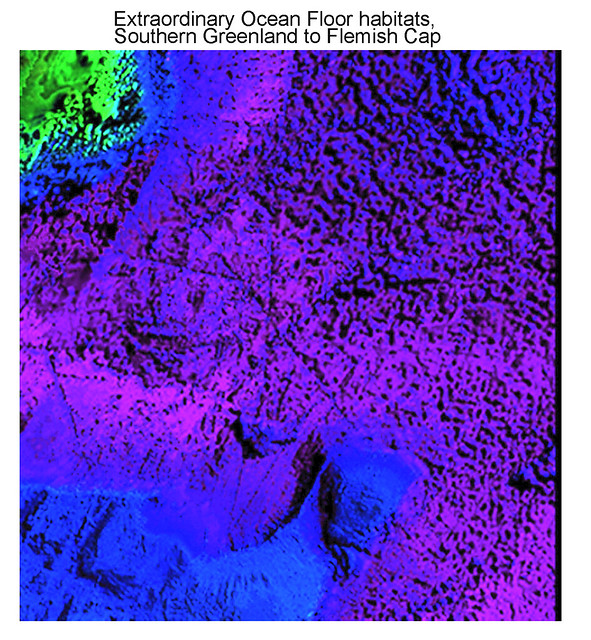 Mesmerizing Aten Disk area, Ancient Ocean Floor Habitat, Greenland to the Flemish Cap, View in 200%