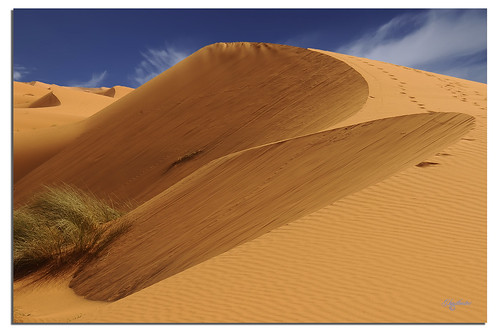 Dune nel Deserto di Erg El Chebby by G.hostbuster (Gigi)
