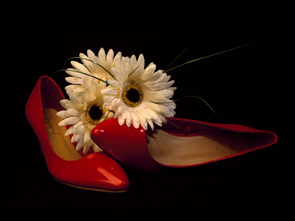 Still Life | Still life red shoe and flower. My final image … | Flickr