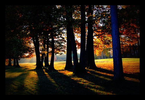 morning trees fall sunrise nikon shadows fairway picnik dramaticlighting treetrunks d40 natureslight