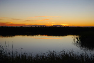Salton Sea Sunset