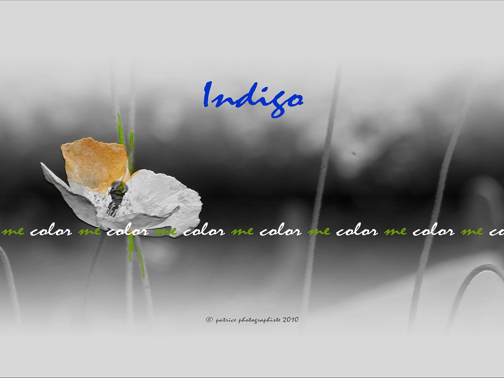 Indigo : Color me