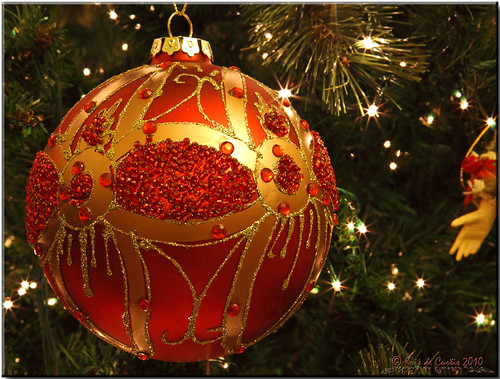 Red Dreams | A new decoration on my Christmas Tree this year… | Flickr