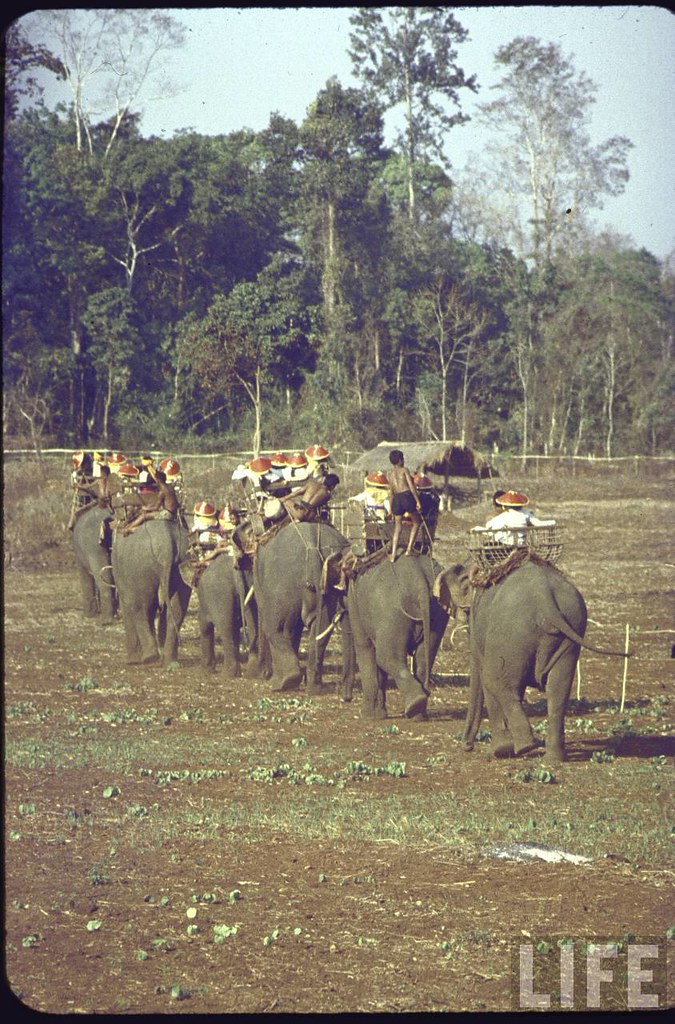 Mountaineers on elephants en route to New Year's celebration