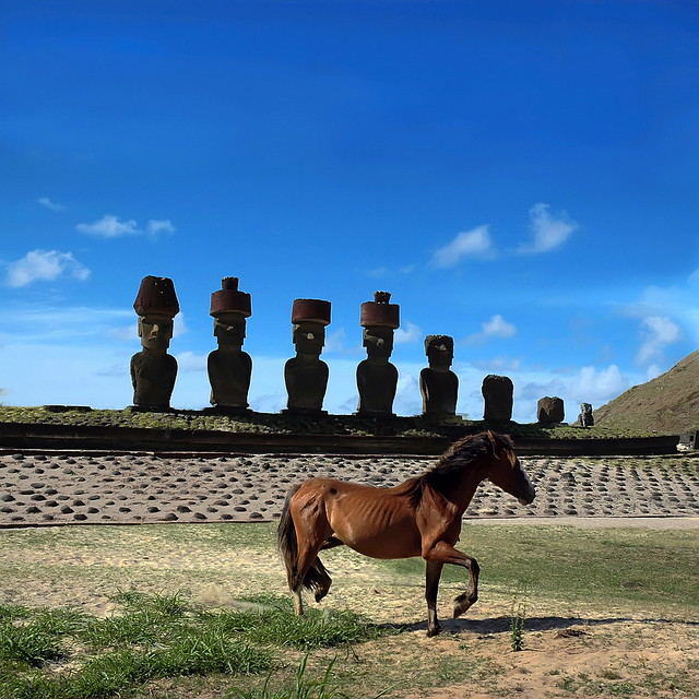 Freedom in Rapa Nui