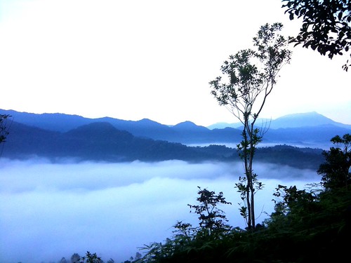 On Cloud9 | by Michelle Cheam