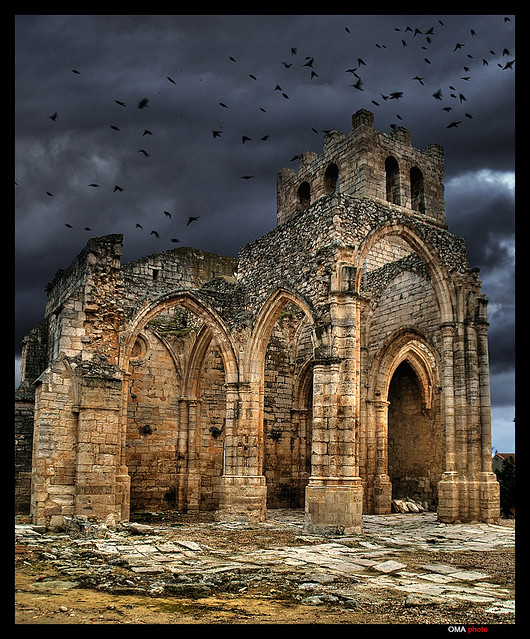 Swallows and gothic ruins. / Golondrinas y ruinas góticas.