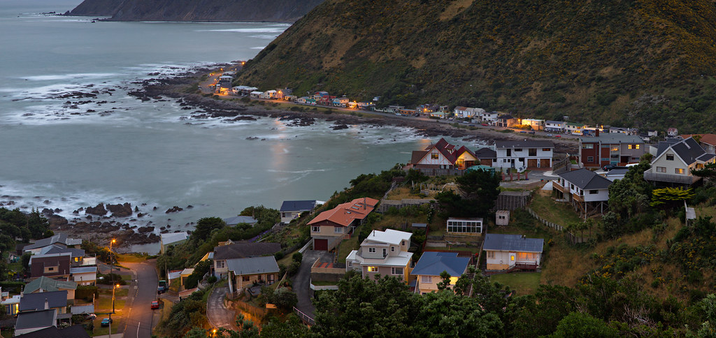 houses facing the cook strait by Lester Ralph Blair