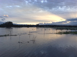 Sunset across the flooded Condamine River