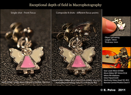 Exceptional depth of field in Macrophotography - Nikon D7000 + Helicon Focus by episa