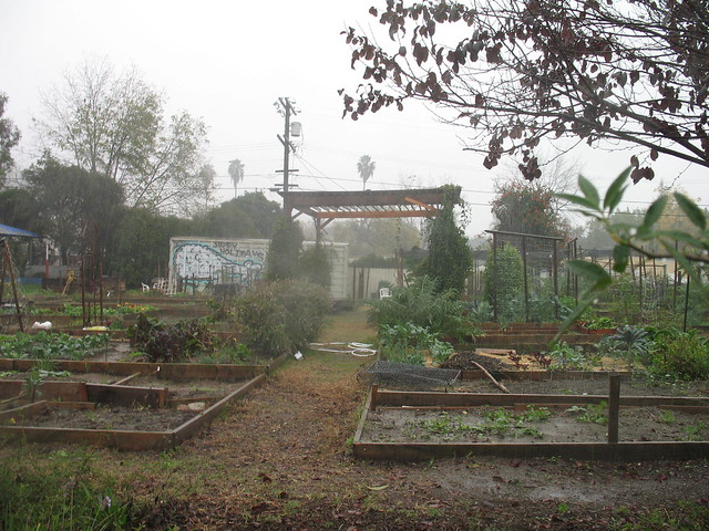 El Sereno Community Garden