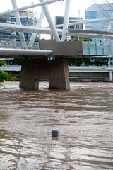IMGP6062_flood-kurilpa-bridge