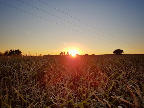 countryside sunset sun sunshine