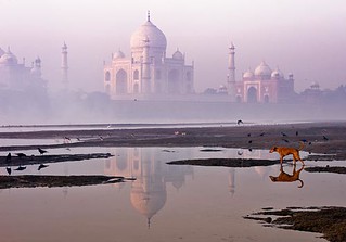 india11 / Taj Mahal