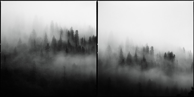 Lost in the Mist (Diptych)