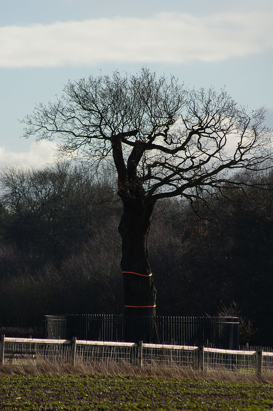 The royal oak, Boscobel