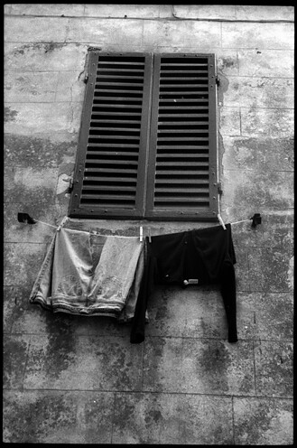 blinds • pienza, italy • 2010