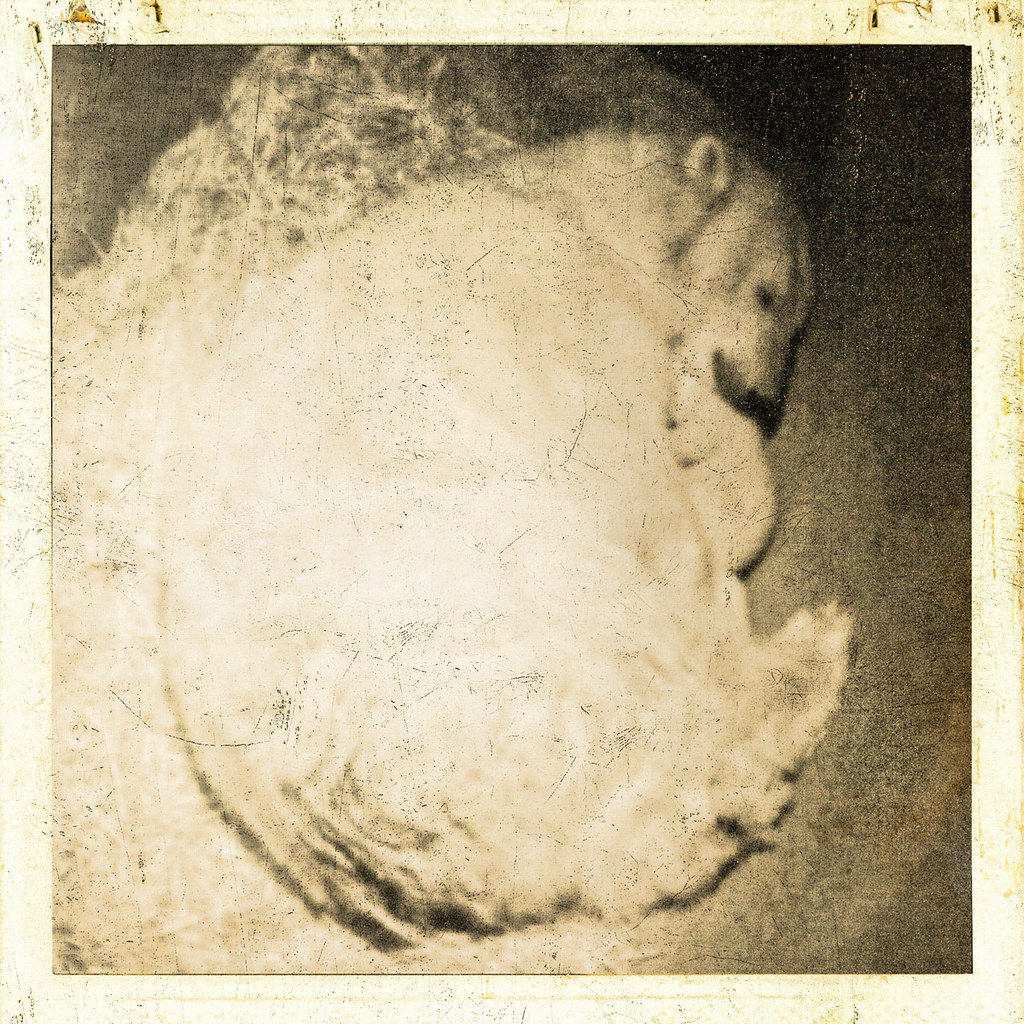 Olinka & baby Vicks - Polar bear, Olinka, gave birth to a ba… - Flickr