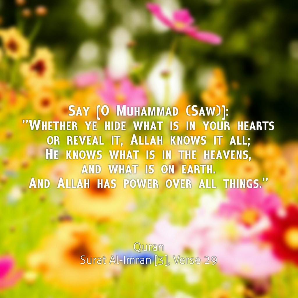 Say [O Muhammad (Saw)]: 