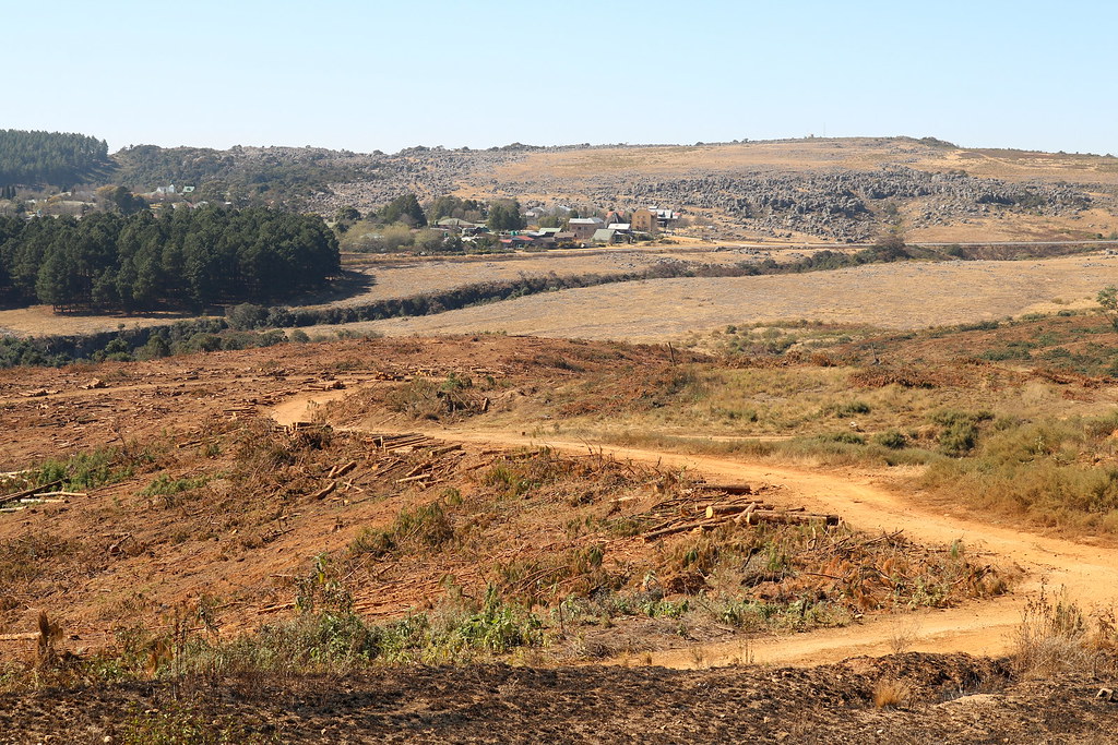 Mpumalanga: Landschaft bei Kaapsehoop