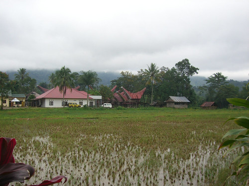 indonesia sulawesi tanatoraja