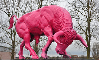 pink ox