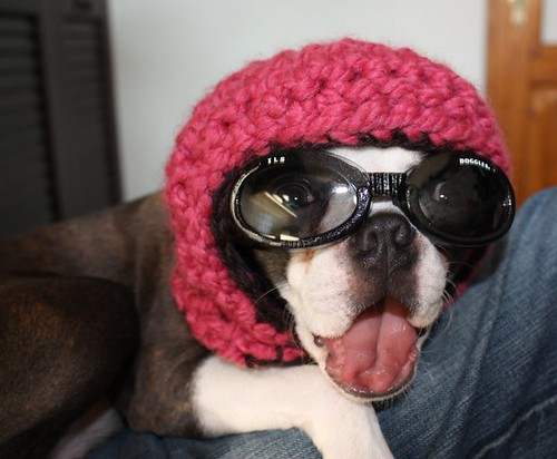 Customer Photo- Ruby | by Beantown Handmade