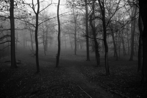 park bw forest dark evening blackwhite geocaching czech path sony atmosphere horror cache a300 gc2g359