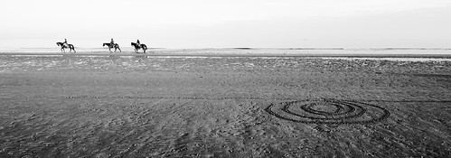 sea horses blackandwhite bw beach water sand mare pentax patterns wave acqua disegni cavalli spiaggia biancoenero lignano onde sabbia pentaxk20d pentaxk20