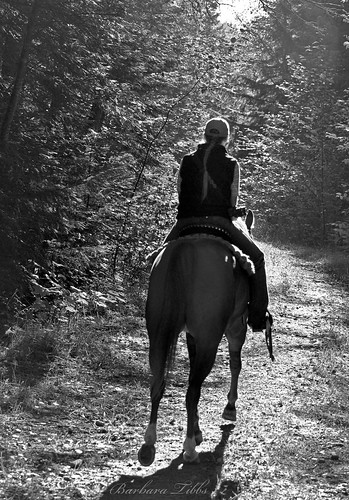blackandwhite horse woods nikon trail horseback trailride happytrails hcs northidaho d90 ridingoffintothesunset lowerpackriver clichesaturday
