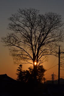 Sunrise,Japan