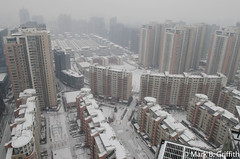 Snow in Beijing