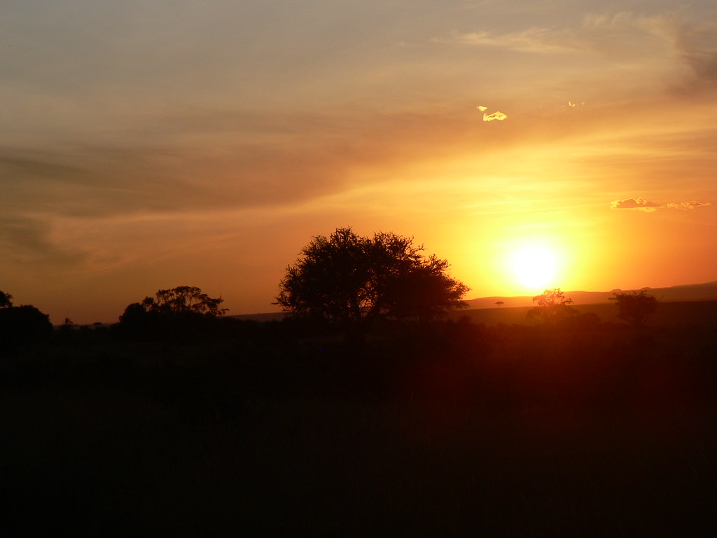 Superposición Sinis George Hanbury Puesta de sol en la Sabana | Durante un Safari a través Mass… | Flickr
