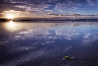Ripple Reflection - Morlans Beach tas