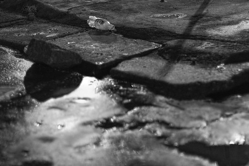 Untitled / SML.20110202.7D.07146 | by See-ming Lee (SML)