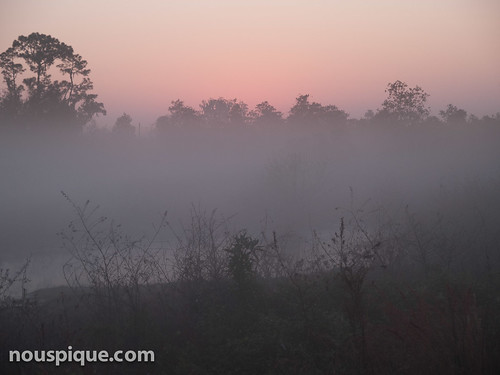 mist sunrise florida reserve lakeashton circlebbar