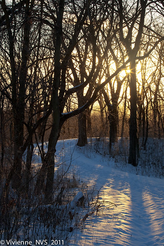 winter sunset snow illinois trail sunburst foxrivertrail morainehillsstatepark