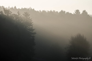 On a misty morning X