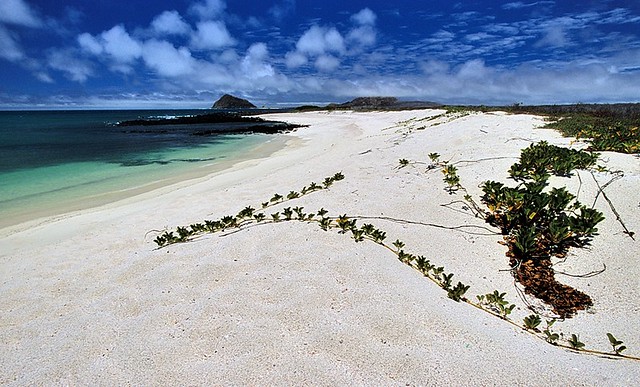 Galapagos, landscape