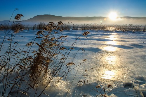 sunset mist snow ice norway fog norge is afternoon straw fjord february dis soon februar snø lier solnedgang tåke siv drammensfjorden strå buskerud ettermiddag canon450d drammenfjord tamron1750mmf28xrdiiivc