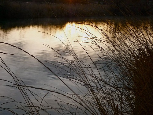 Sunlight Reflected by gharness, The Trophy Pond at Wilson Pond at sunrise, early on a February morning near Nampa, Idaho.sun sunligh