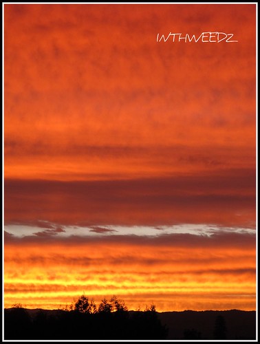 sunset newzealand tauranga g11 9211 canong11