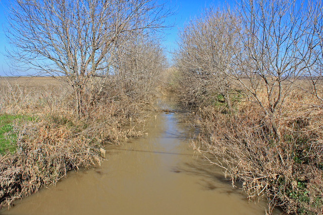 Bynum Creek, above Highway F.M. 744, near Malone, Hill County, Texas 1
