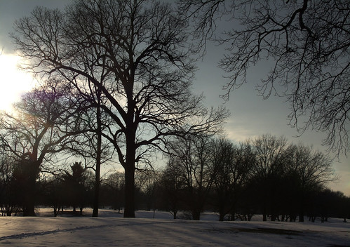 park | by K. Sanges