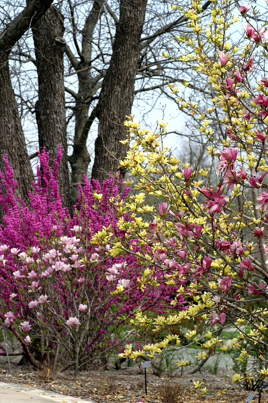 Spring Walk Flower Power Gardens in Spring | Flickr