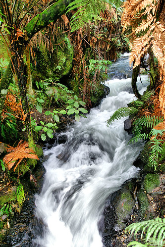 Rushing stream | by XPinger (Chris Sutton)