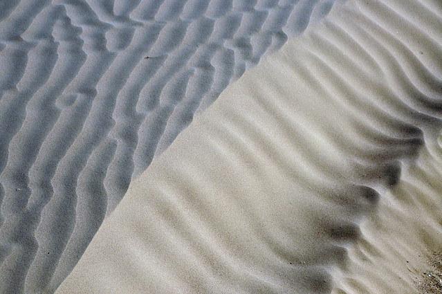 dunes detail
