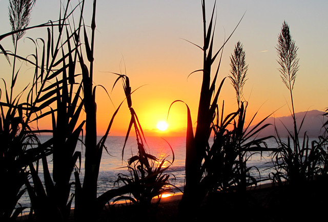 Sunset Marbella Playa